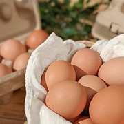 放牧蛋雙週配60顆(平日收)